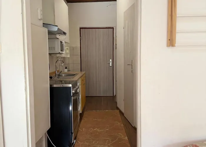 Cozy Danube With Garden Access & 15 Min To Center * Vienna