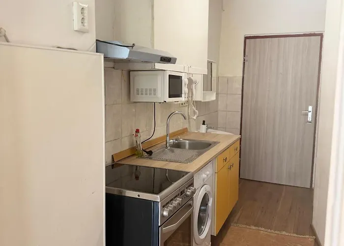 Apartment Cozy Danube With Garden Access & 15 Min To Center